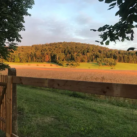 Holzhaus Mit Trailer Lasse Seele Baumeln * Wettringen (Bavaria)