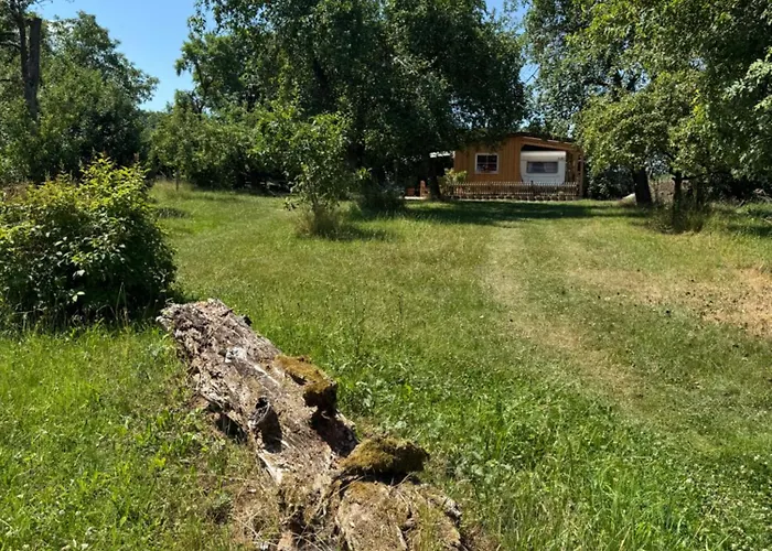 Holzhaus Mit Trailer Lasse Seele Baumeln Kemp Wettringen (Bavaria)